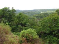 48 Cordillera de los Altos bei Paraguari