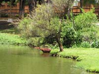 58 Villarrica Stadtpark