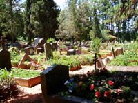 102 Independencia Waldfriedhof