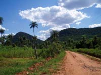 124 Kraterlandschaft bei Acahay