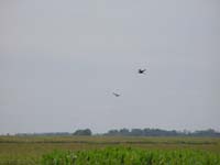 151 Feuchtgebiet vor Rio Parana