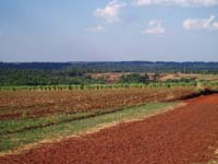 212 Landschaft Obligado