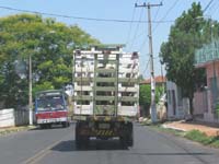 220 Viehtransport in Paraguari